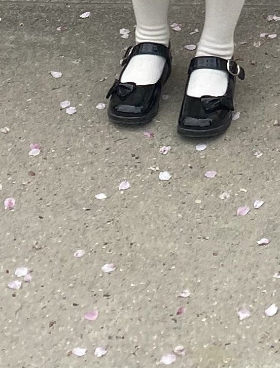 ヒバリ△ファミキャン母 tweet media