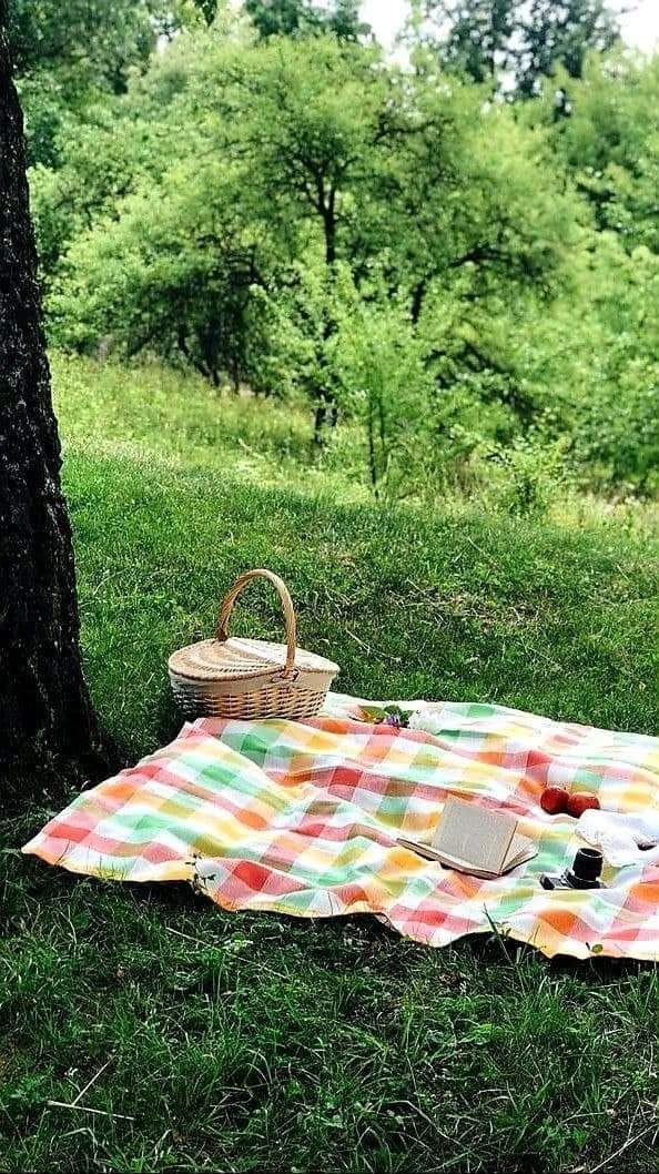 َََمـ҉حـ҉مـ҉د مـ҉يـ҉د҉ﯛ̲ tweet media