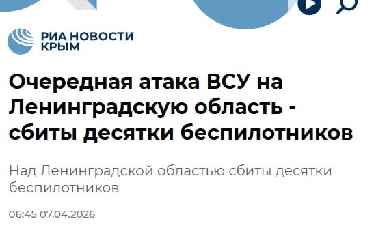 Наташа Иванова tweet media