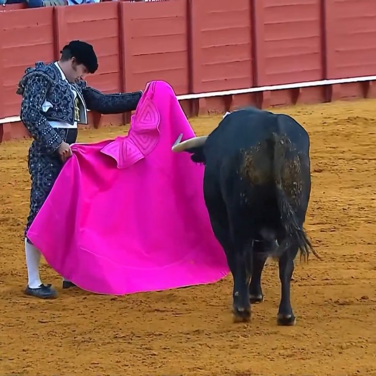 Manuel Vélez tweet media