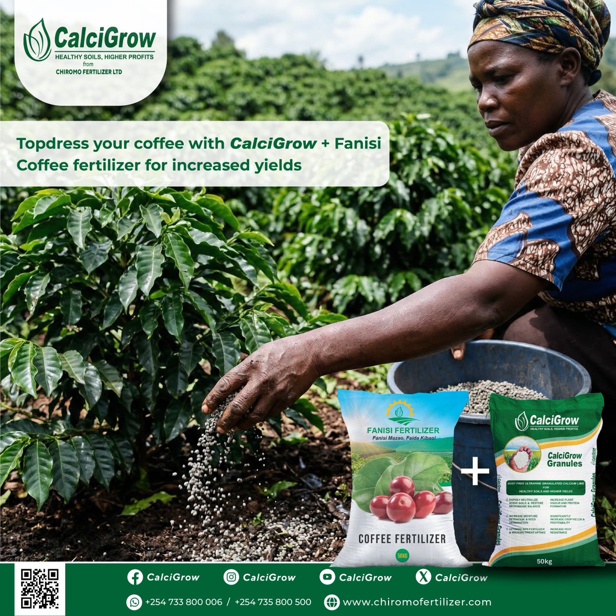 CalcigrowGranul's tweet photo. Topdressing coffee with CalciGrow + Fanisi Coffee Fertilizer helps your crop grow stronger and produce more.

For orders contact 0735 800 500 | 0733 800 006 | Uganda +256 759 938 856 | https://t.co/U8RZHy0Znz
#CalciGrow #Healthysoils #coffeefarming https://t.co/shFQQPyvdm
