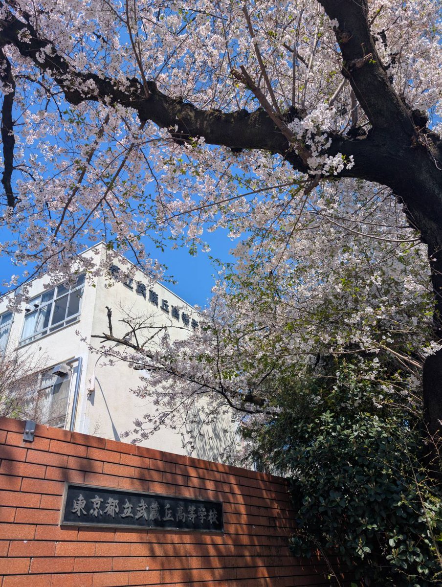 MuSaKou1940's tweet photo. ご入学おめでとうございます！皆さんは81回生となります。
この校舎での最後の入学式です。この校舎の思い出を作りながら、楽しい毎日を過ごしてくださいね。

#都立武蔵丘 #武蔵丘同窓会 #上鷺宮 #鷺ノ宮 #富士見台 #中村橋 https://t.co/87HkapscSp