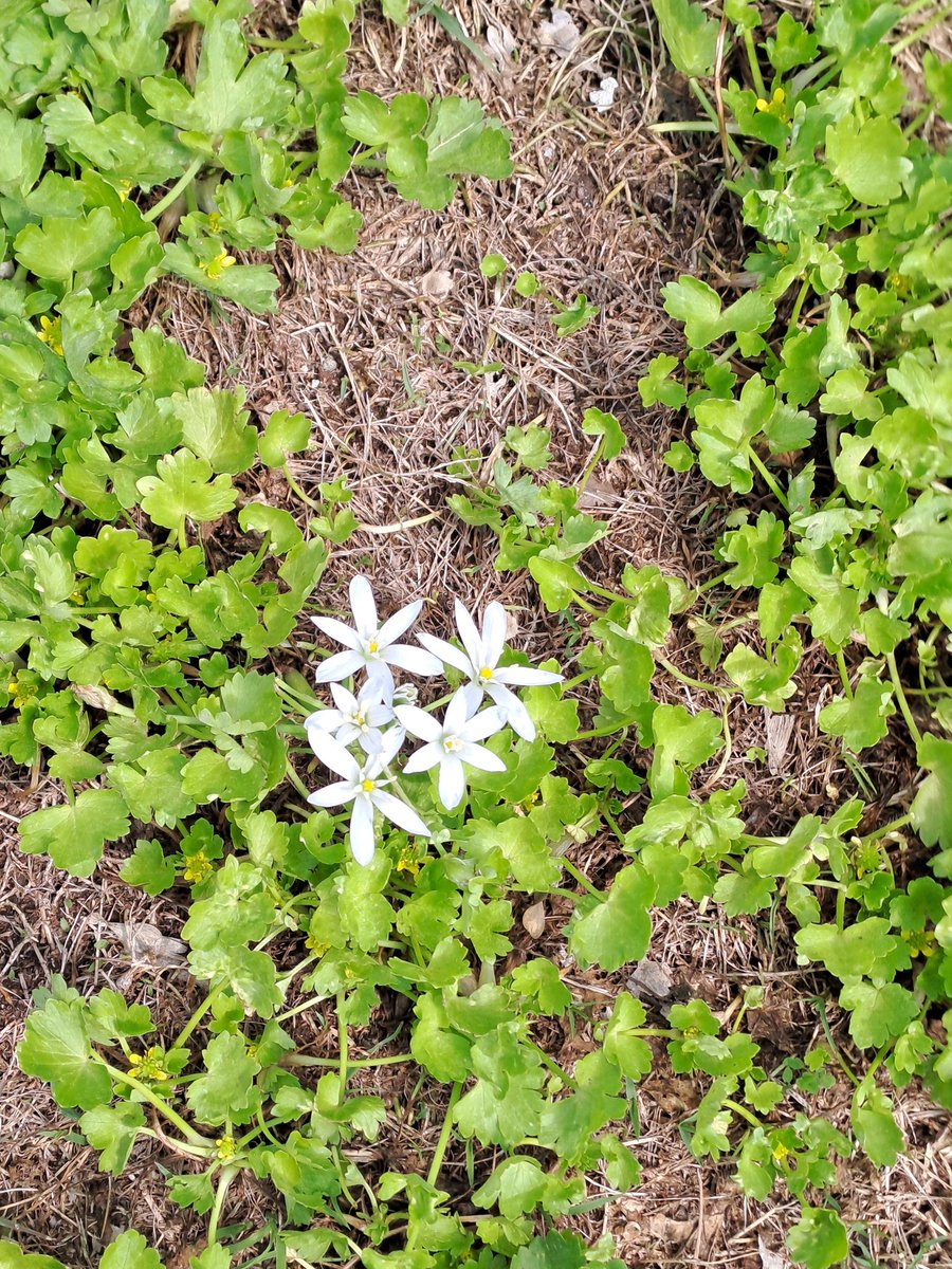 koukou_tza tweet media