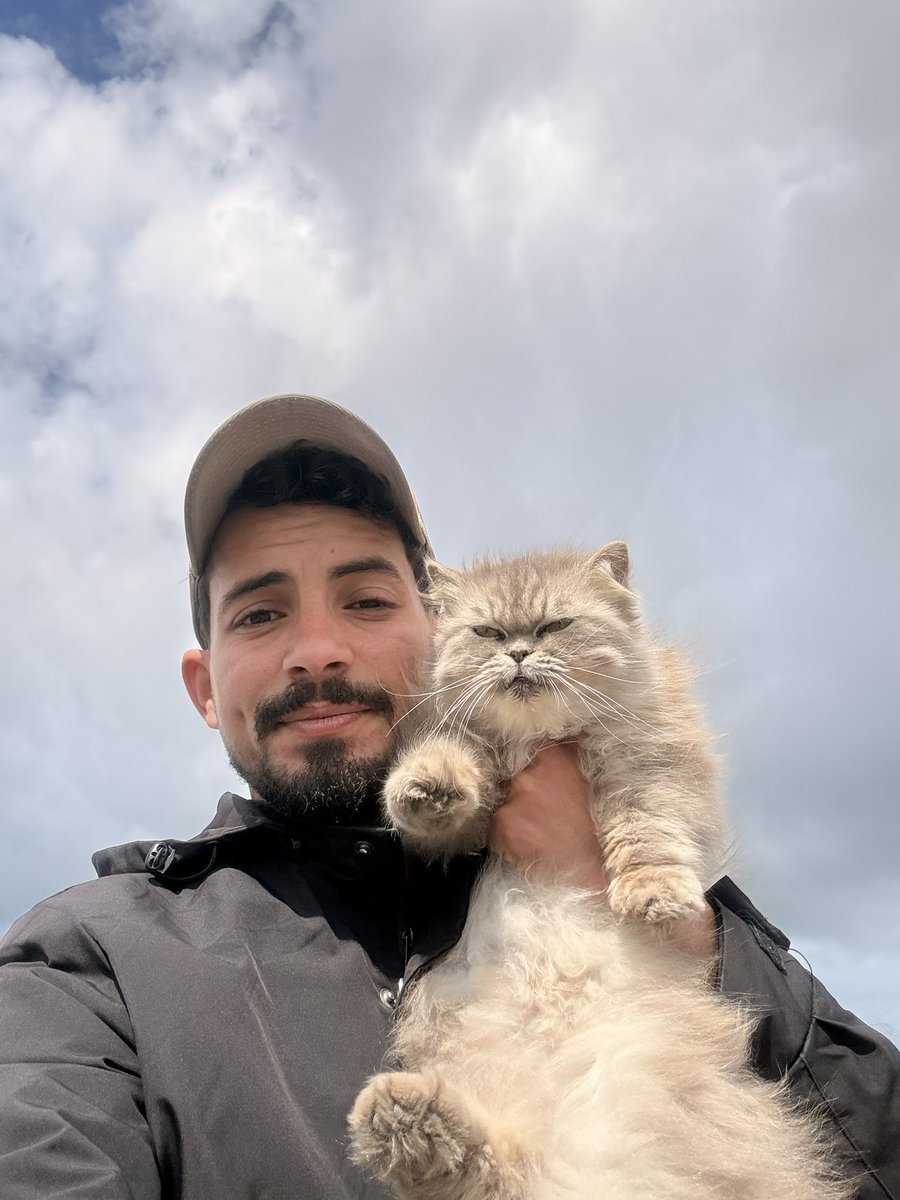 SHARIF 𓂆 tweet media