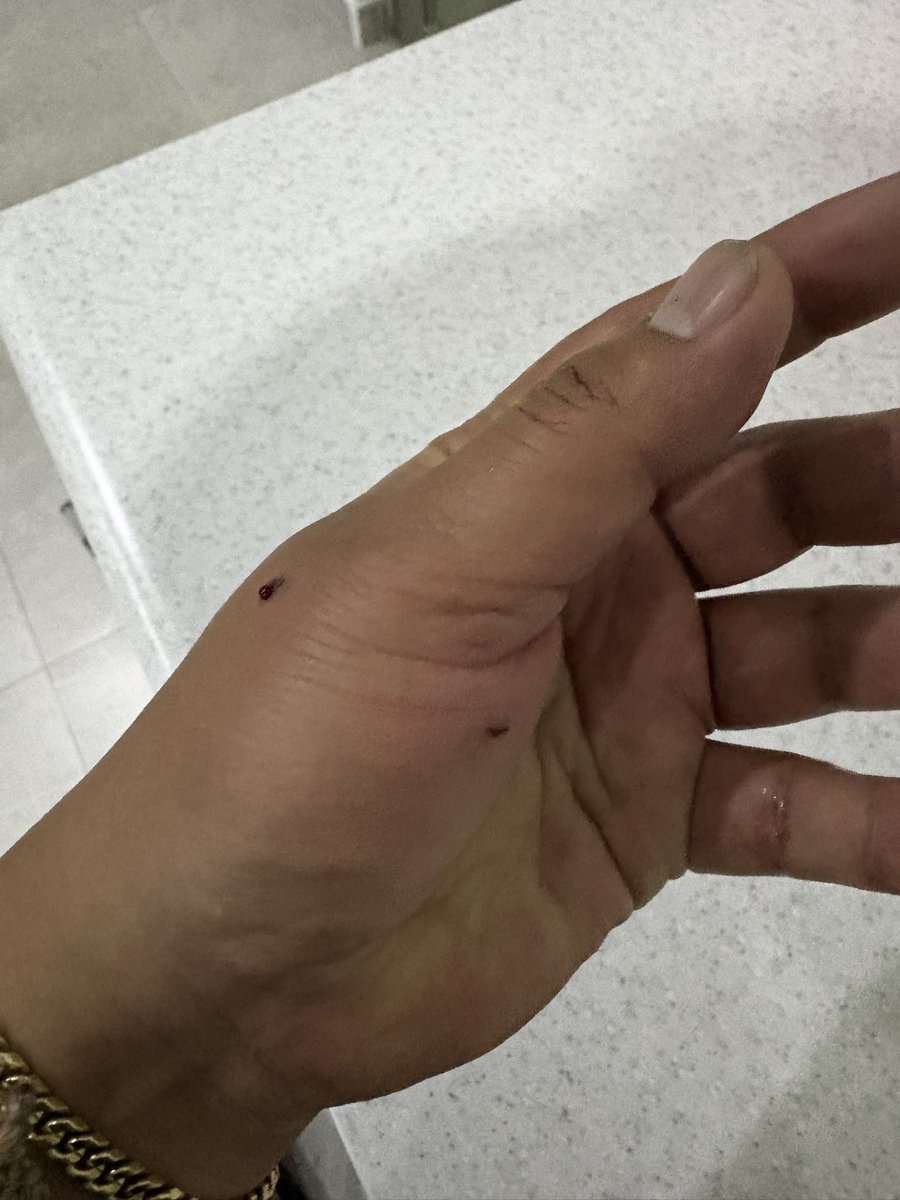 Alexsinho tweet media