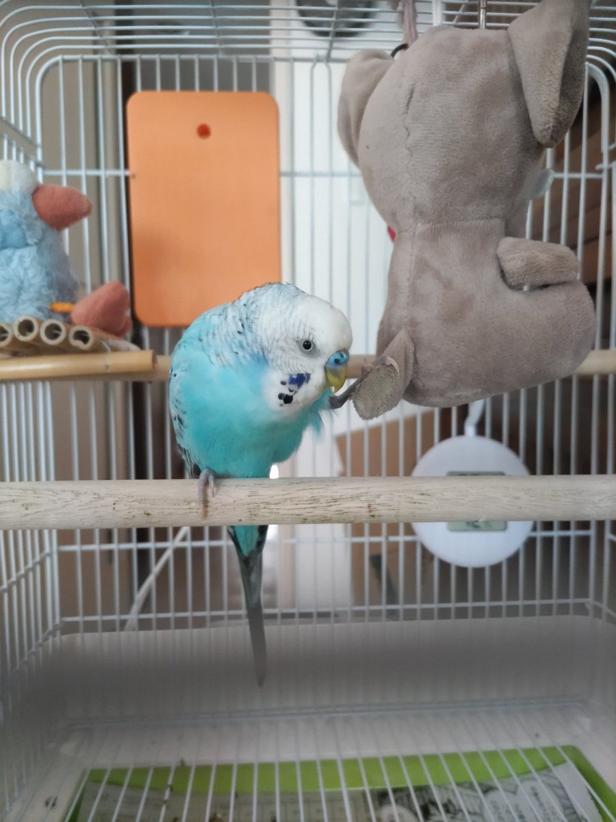 連投すみません
可愛すぎて