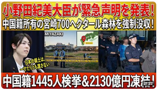 Trump 17Q tweet media