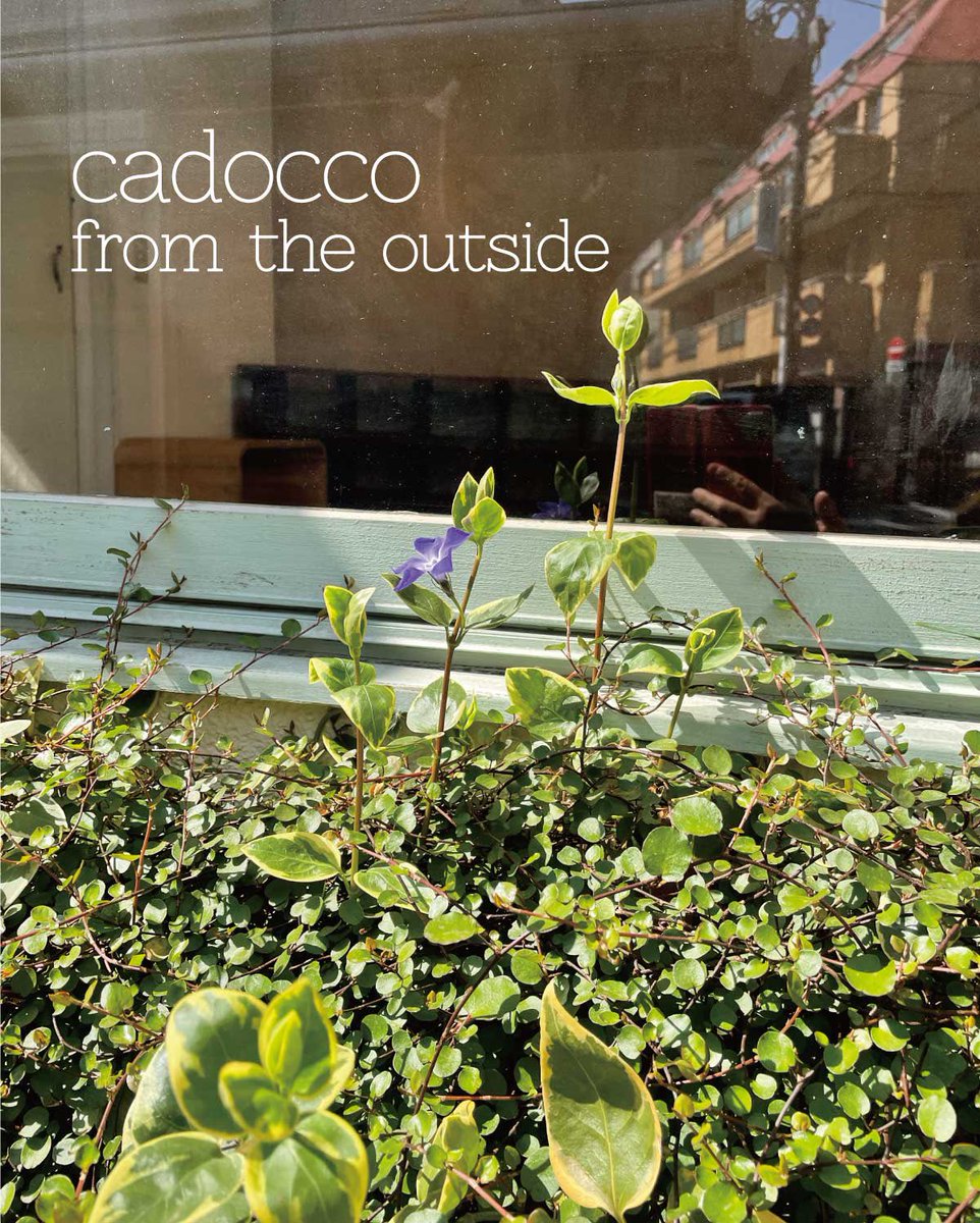 gallery cadocco /play on words tweet media