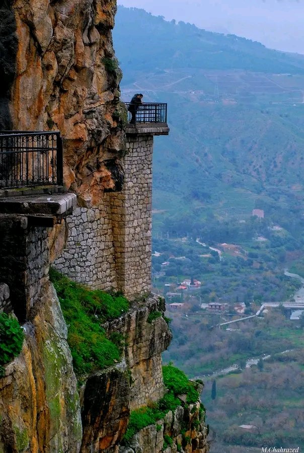 ohmmoris.ug tweet media