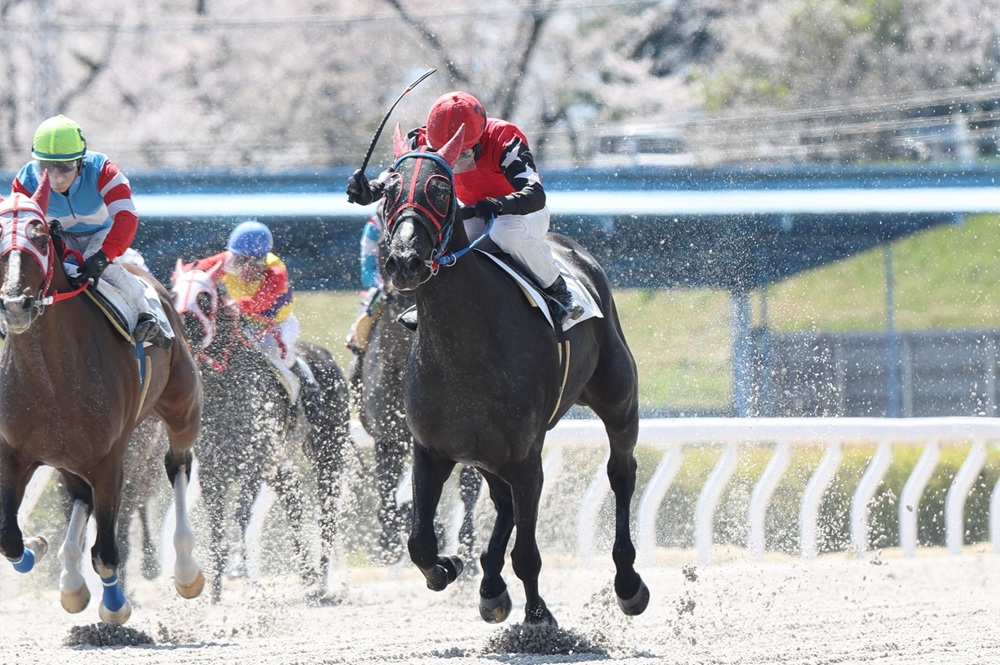 笠松競馬場 tweet media