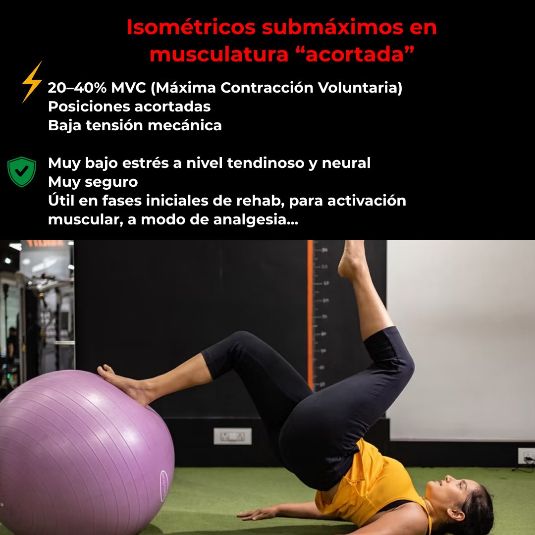 PreparacionFísicaBaloncesto. Assessport tweet media