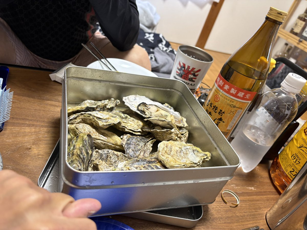 ❀風❀🦕【8】🐝🌟 tweet media