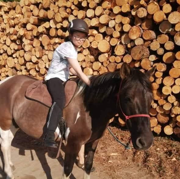 Aries ♿ tweet media