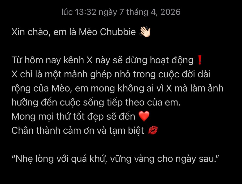 Mèo Chubby tweet media