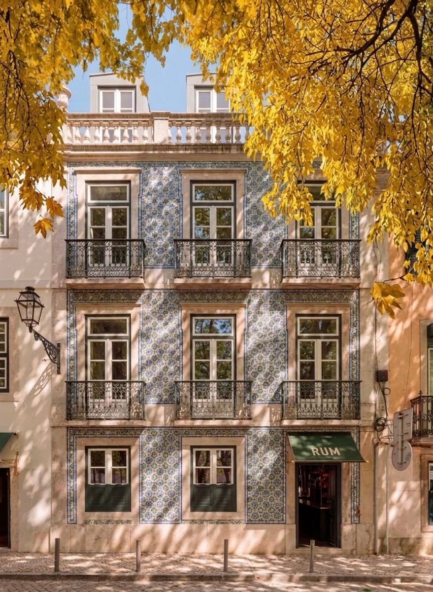 Ramin Nasibov tweet media