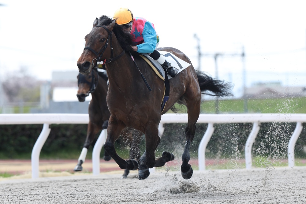笠松競馬場 tweet media