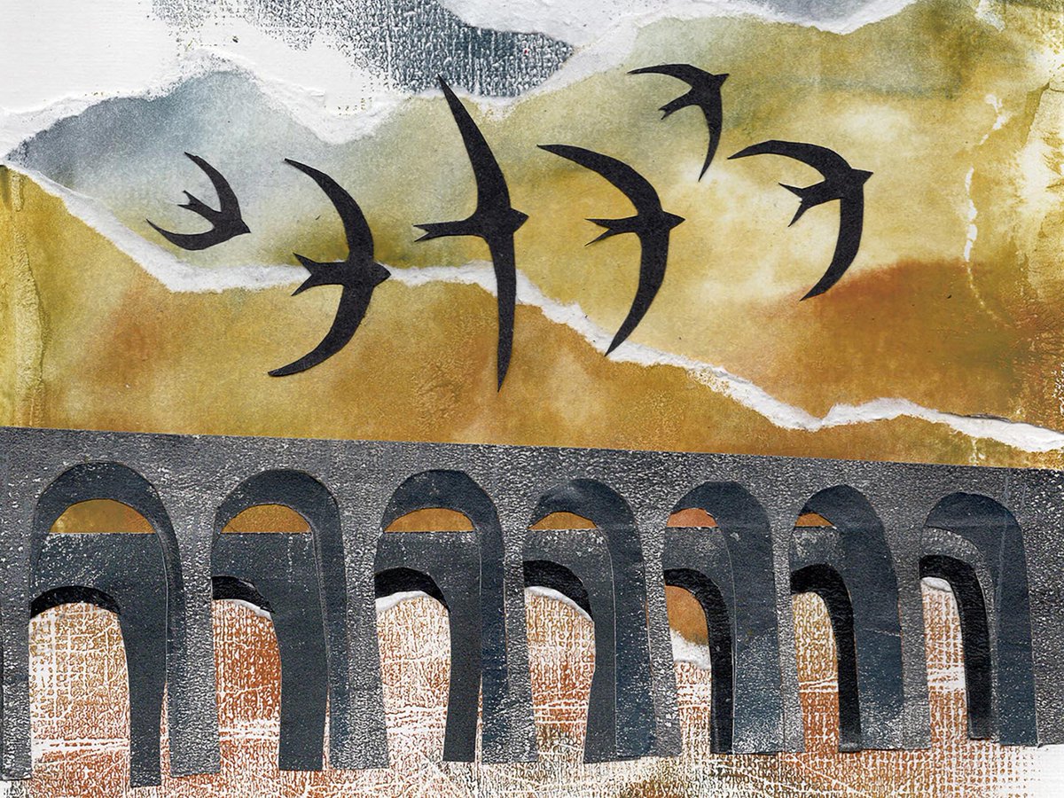 Deborah Pitman tweet media