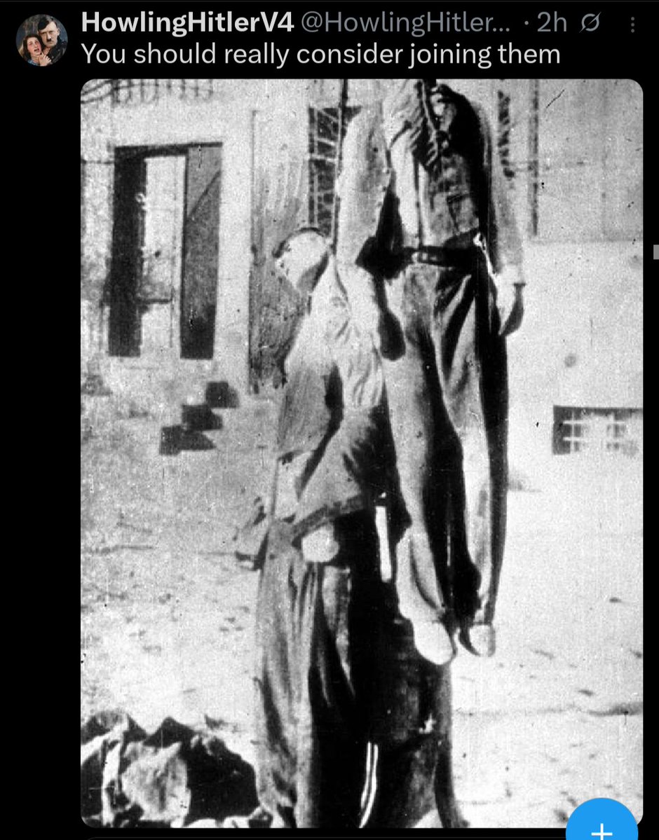 HowlingHitlerV4 tweet media