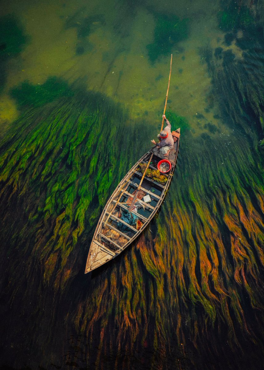 Shams Pranto (Shams Nayeem) tweet media