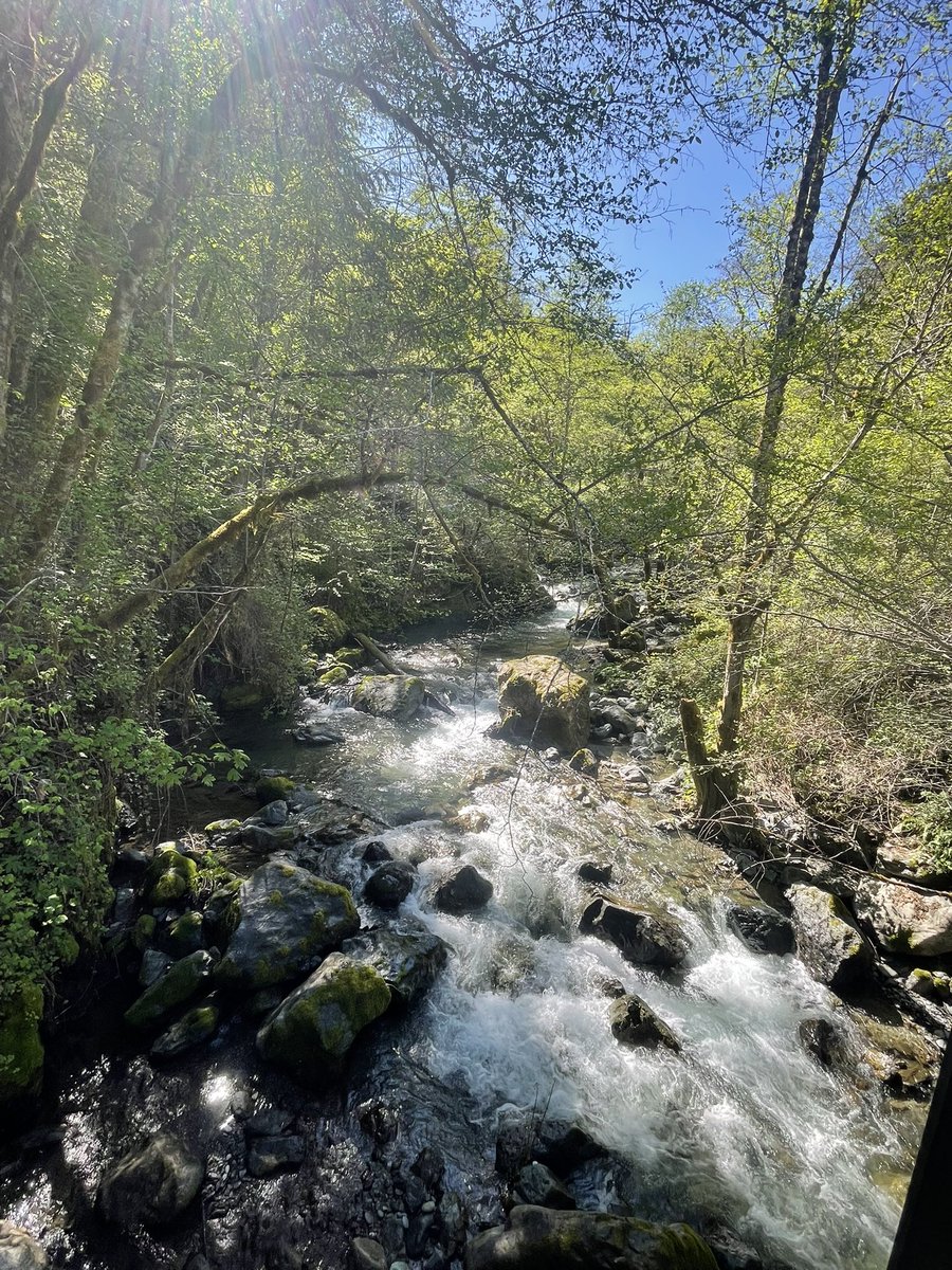 Echo🤍 tweet media