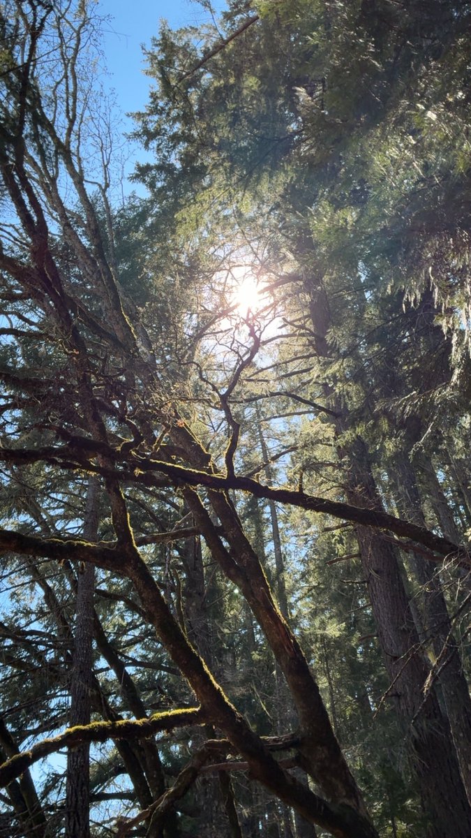 Echo🤍 tweet media