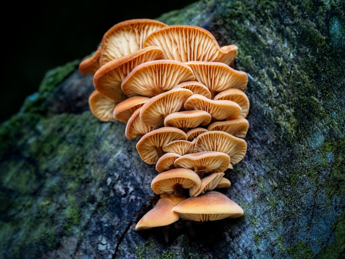 Jeff Richardson tweet media