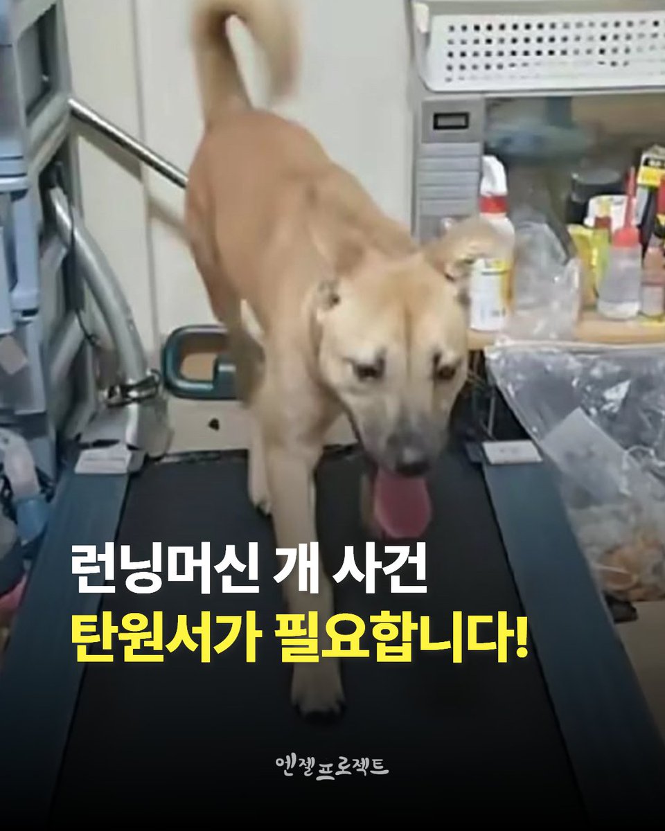 눈누난나❤(사)엔젤프로젝트 tweet media