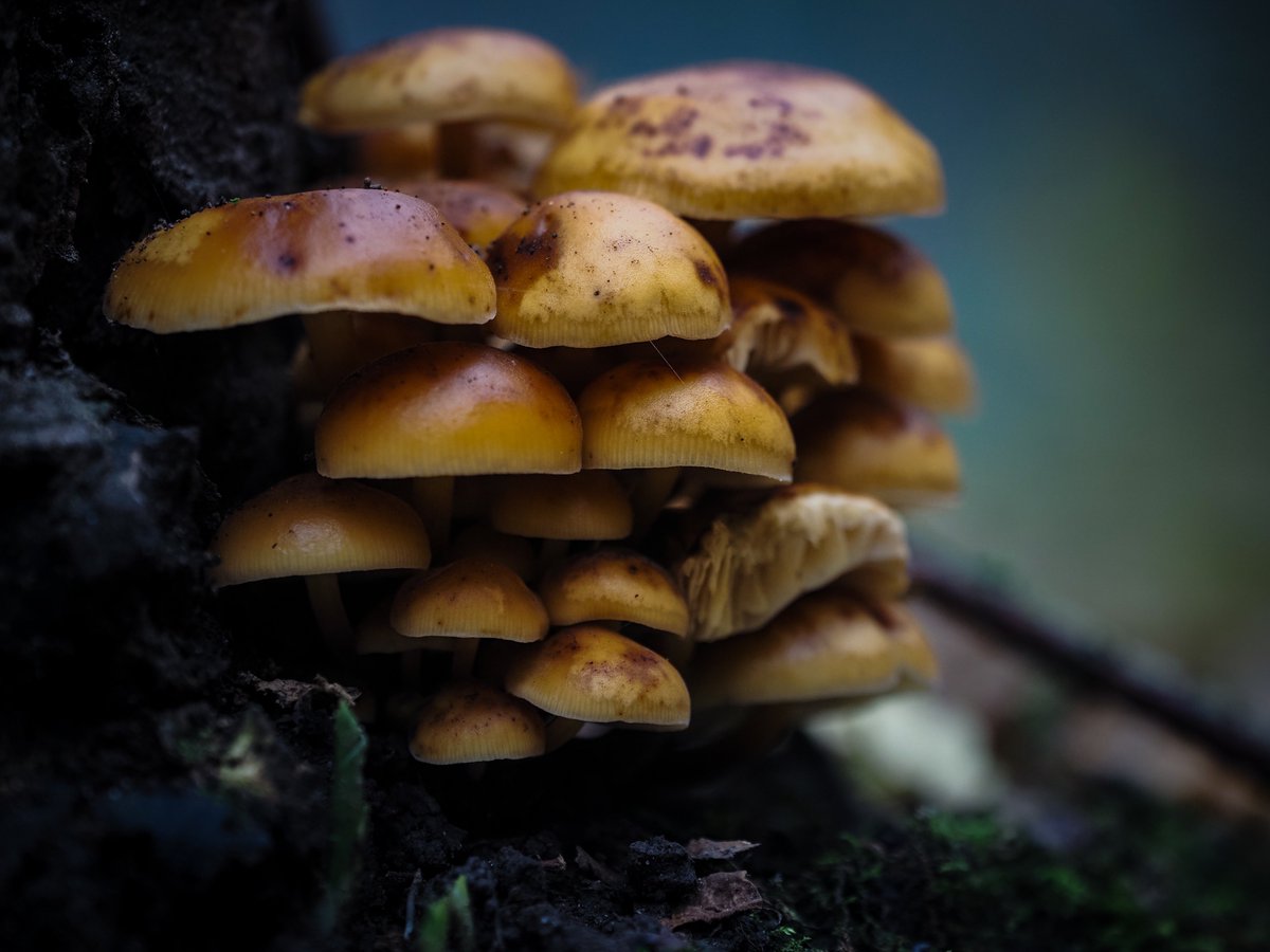 Jeff Richardson tweet media