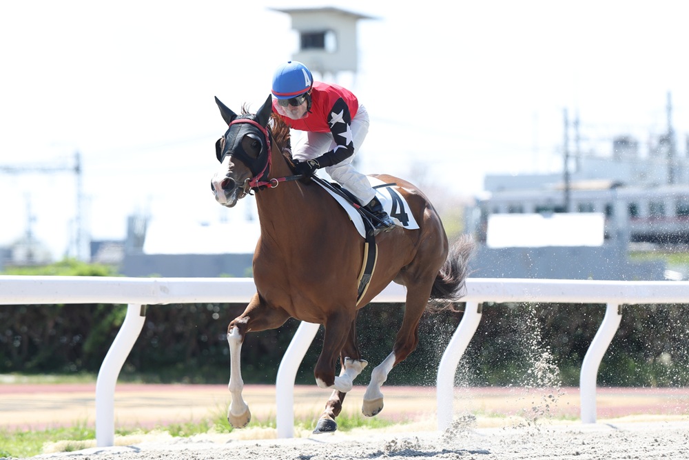 笠松競馬場 tweet media