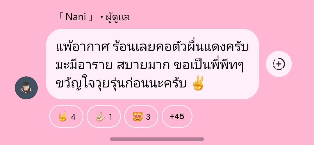 ม๋าเด่กแมวแบด tweet media