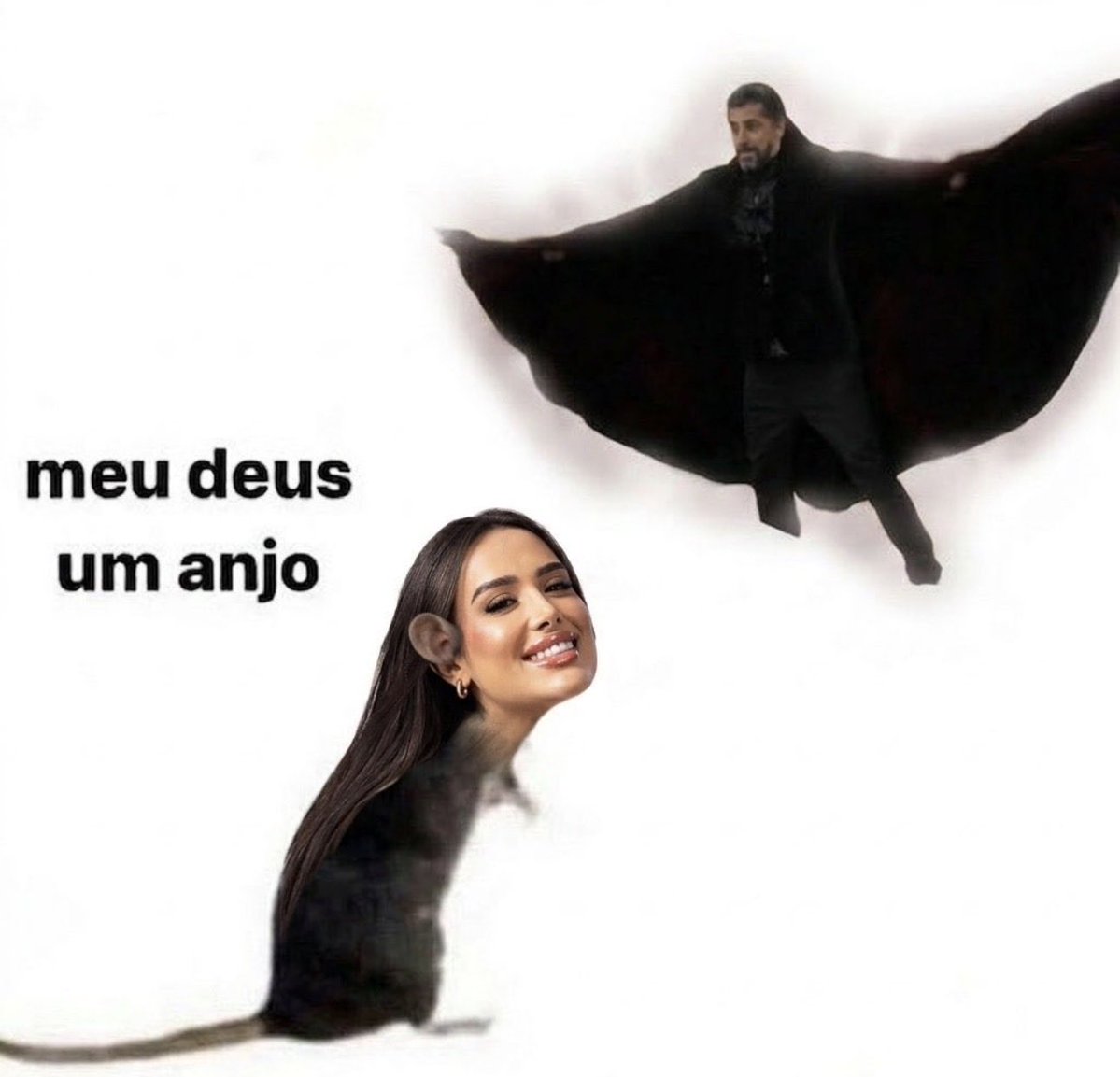 Vitória Renault 🧙🏻‍♀️ tweet media