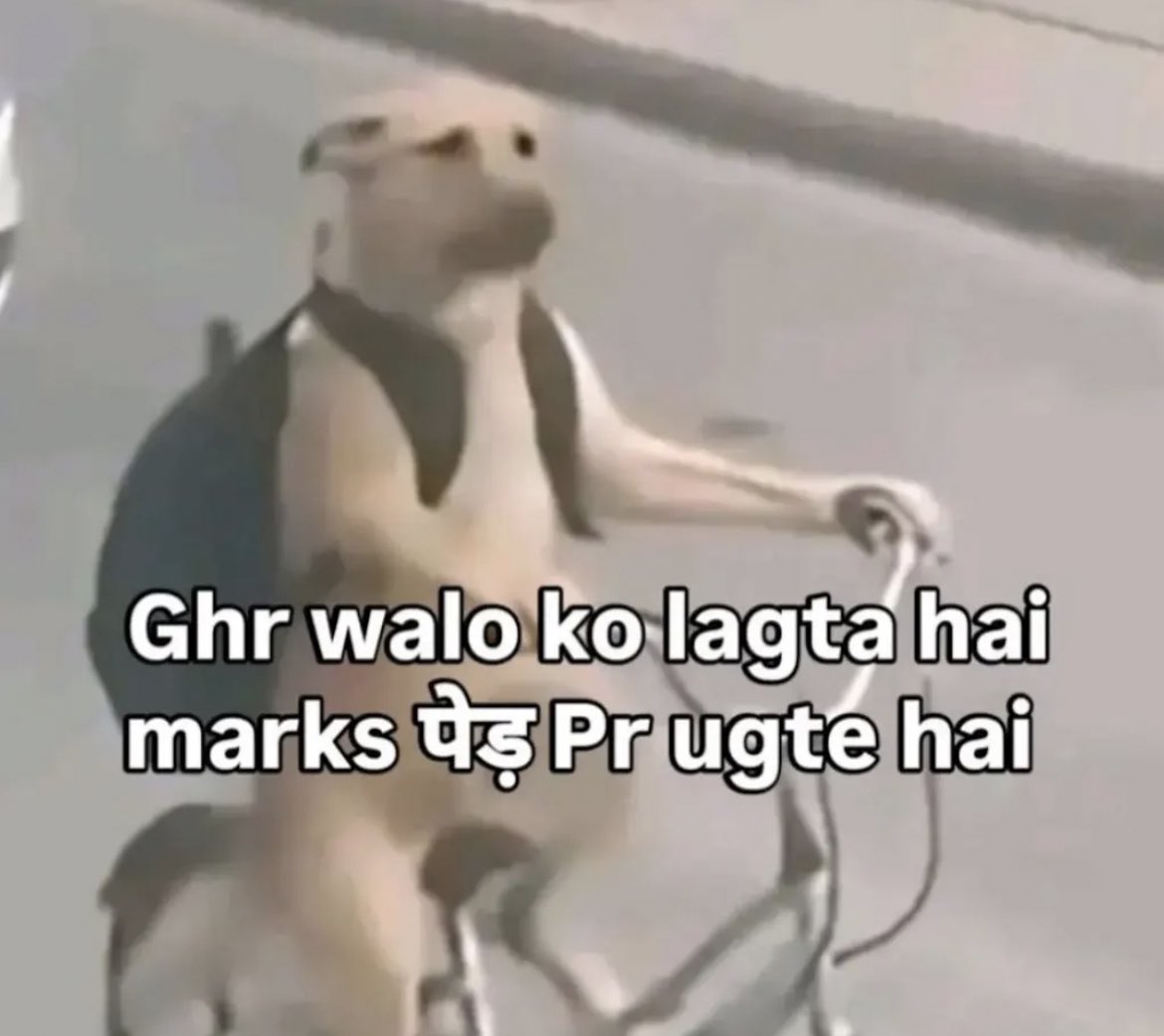 KesarKudi's tweet photo. Ab Kaun Samjhaye Unko? 🥹 https://t.co/y8gAijzZc9