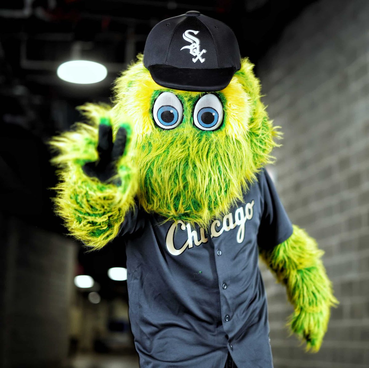 ソックス通訳🧦 tweet media