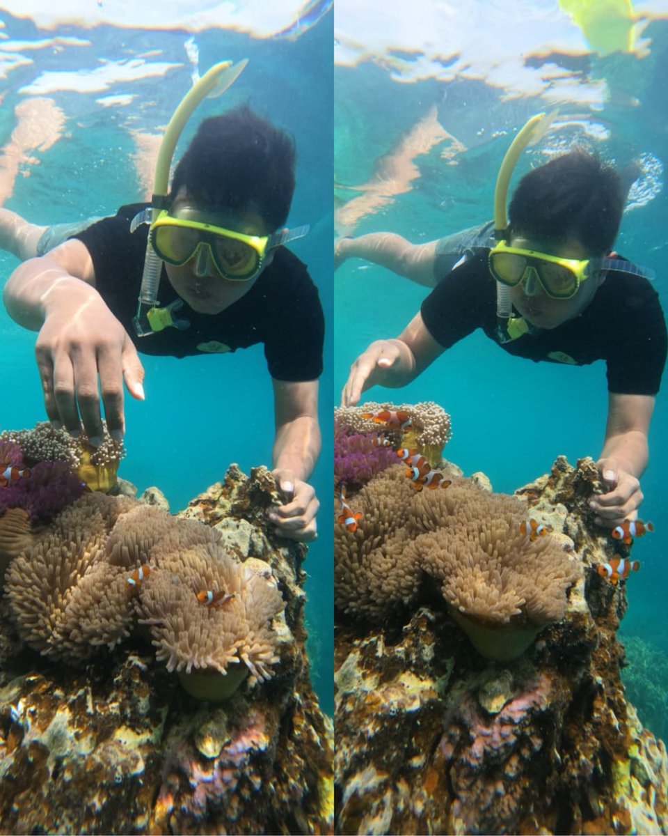 Hendy Setiono tweet media