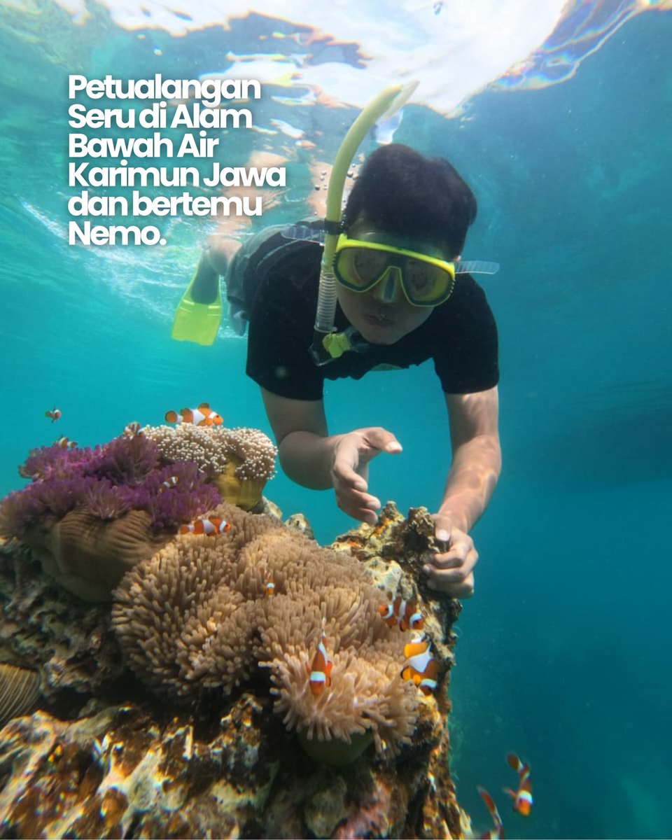 Hendy Setiono tweet media