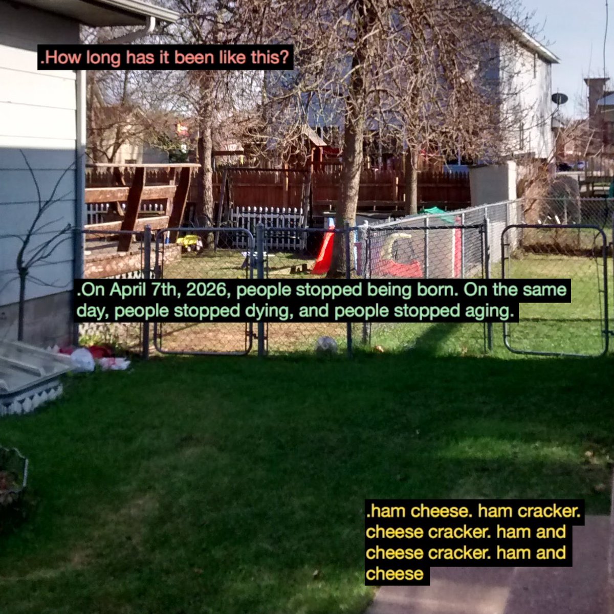 mothcomputer tweet media