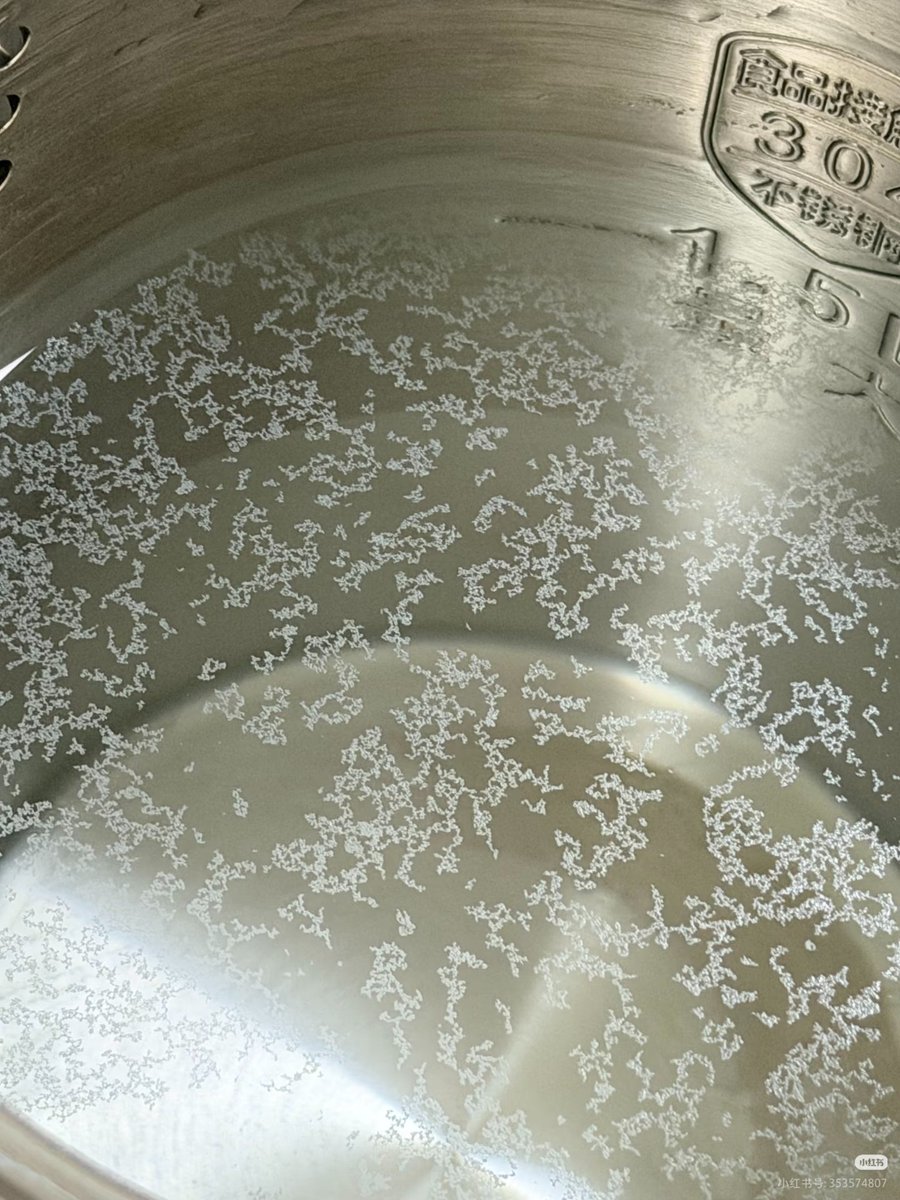 云间上的猫（有互必回） tweet media