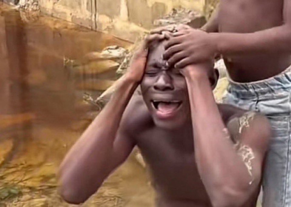 DAMI iDAN tweet media