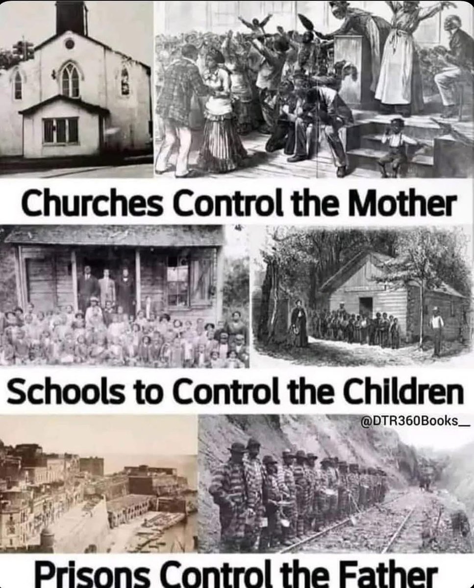 🧬Maxpein🧬 tweet media