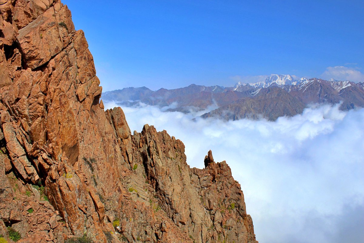 Entdecke Kasachstan tweet media