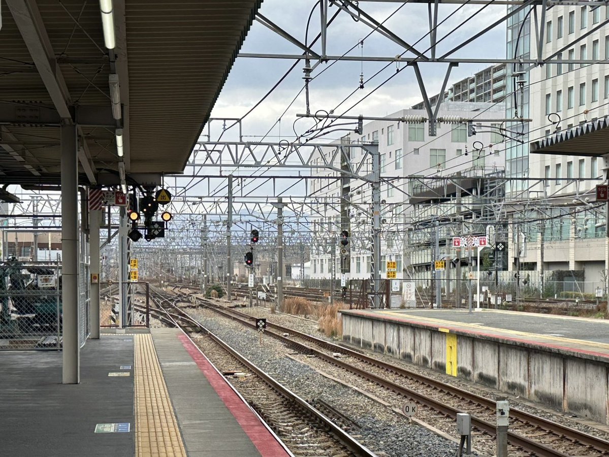 橋本菜津美 tweet media