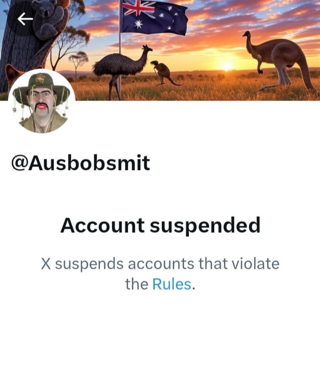 BroBro🇦🇺🏇🏻 tweet media