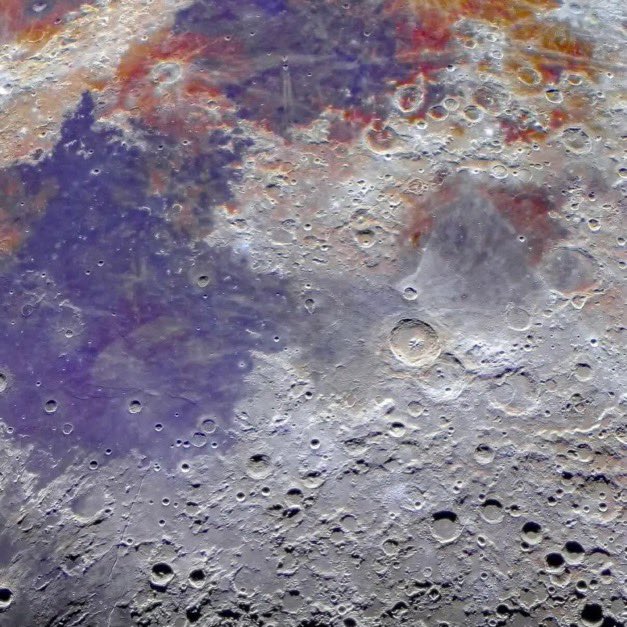 Ryan Petersen tweet media