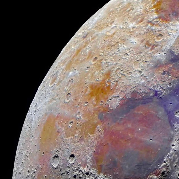 Ryan Petersen tweet media