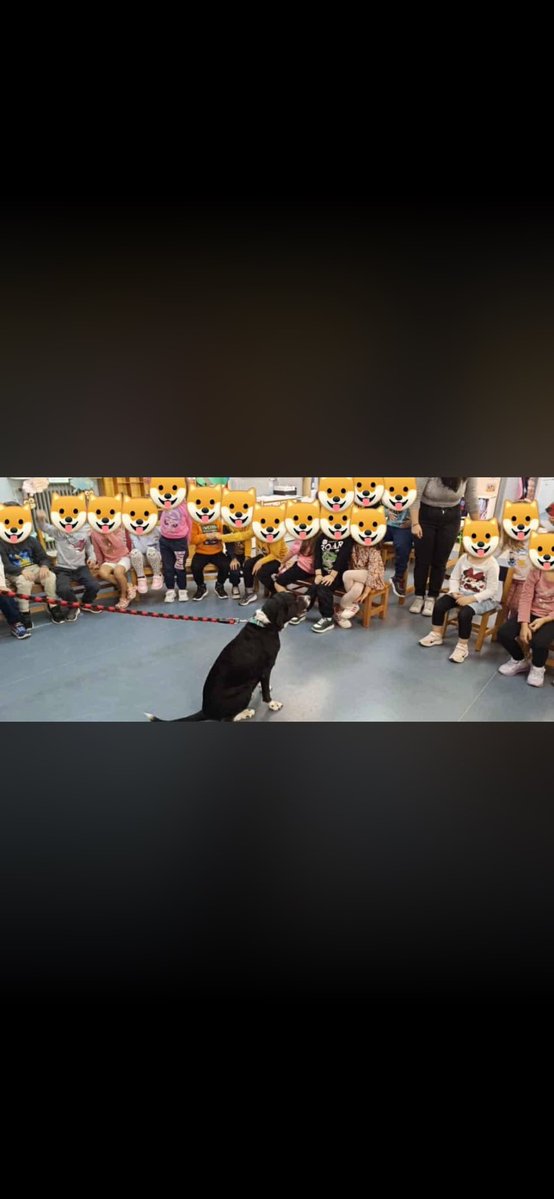 koukouvagia tweet media