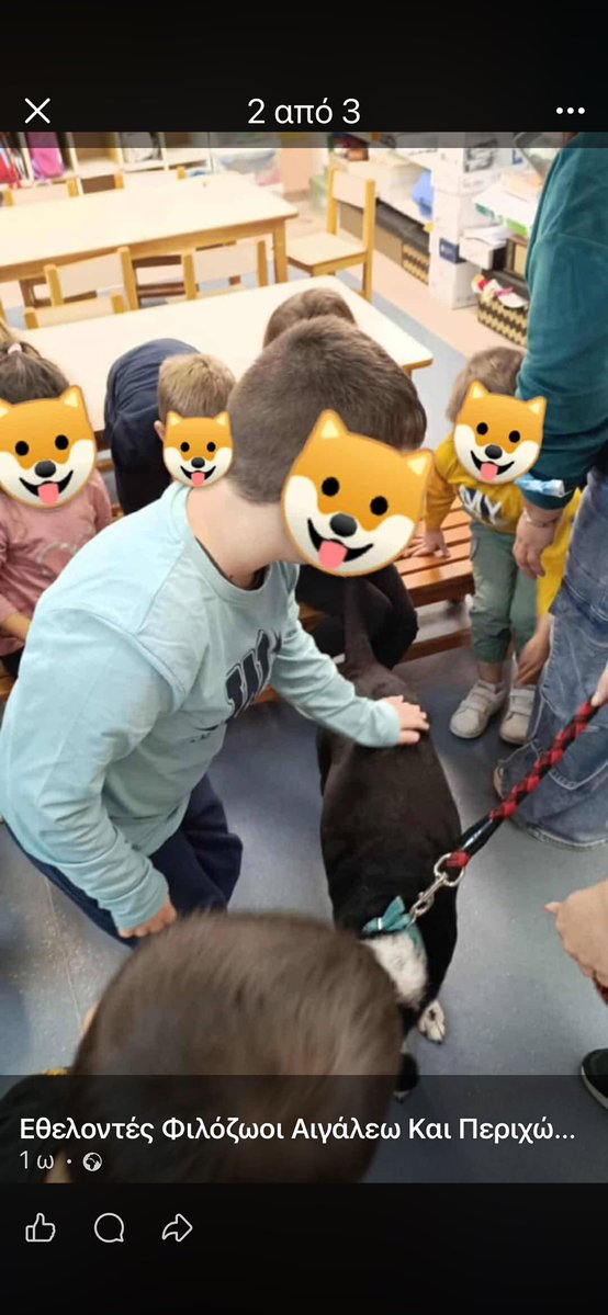 koukouvagia tweet media