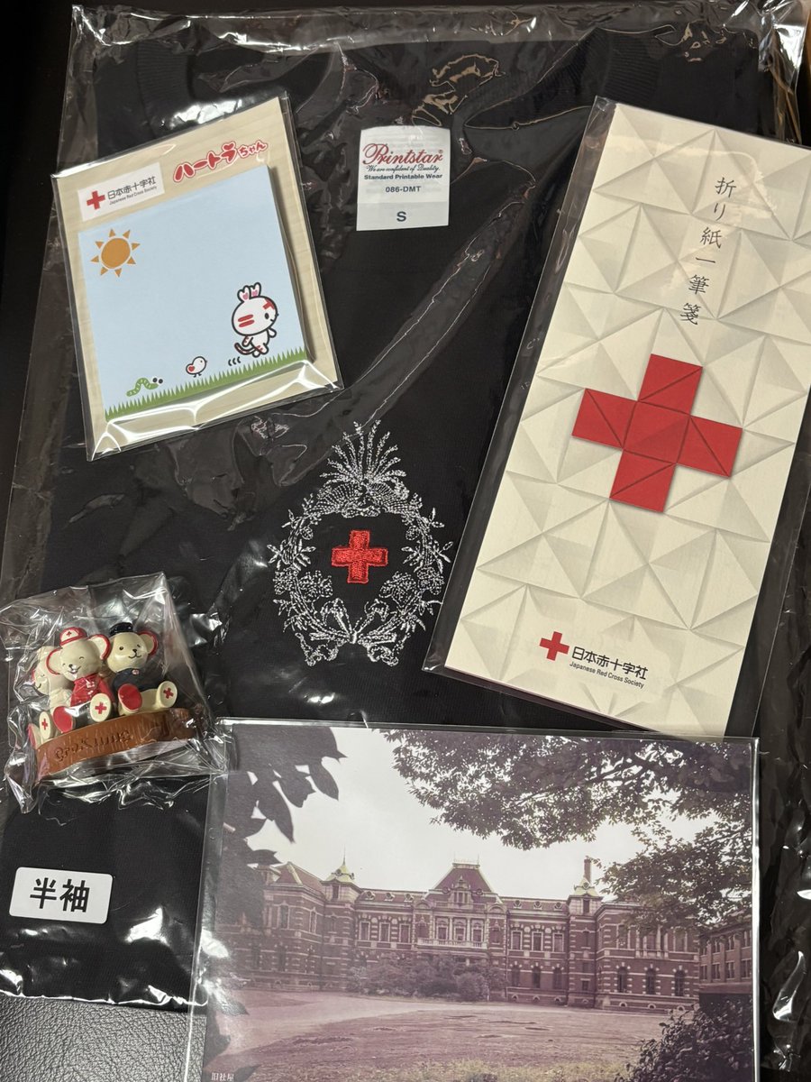 朝ドラ原案 明治のナイチンゲール♦️田中ひかる🆕 tweet media