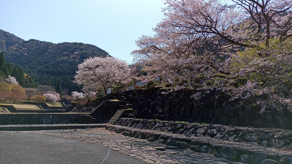 itknoutdoor's tweet photo. #これを見た人は無言で去年の4月の画像を貼る https://t.co/DVihVmdi9x