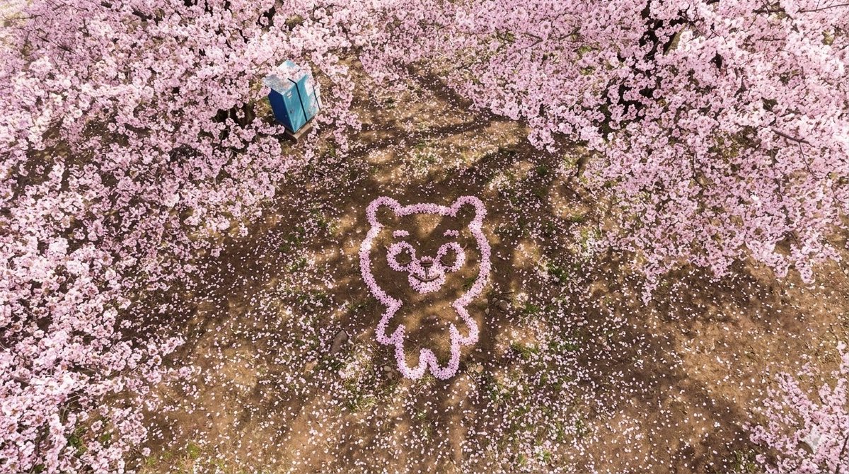 깡이 ·̩͙꒰ঌ🧸ྀི໒꒱·̩͙ tweet media