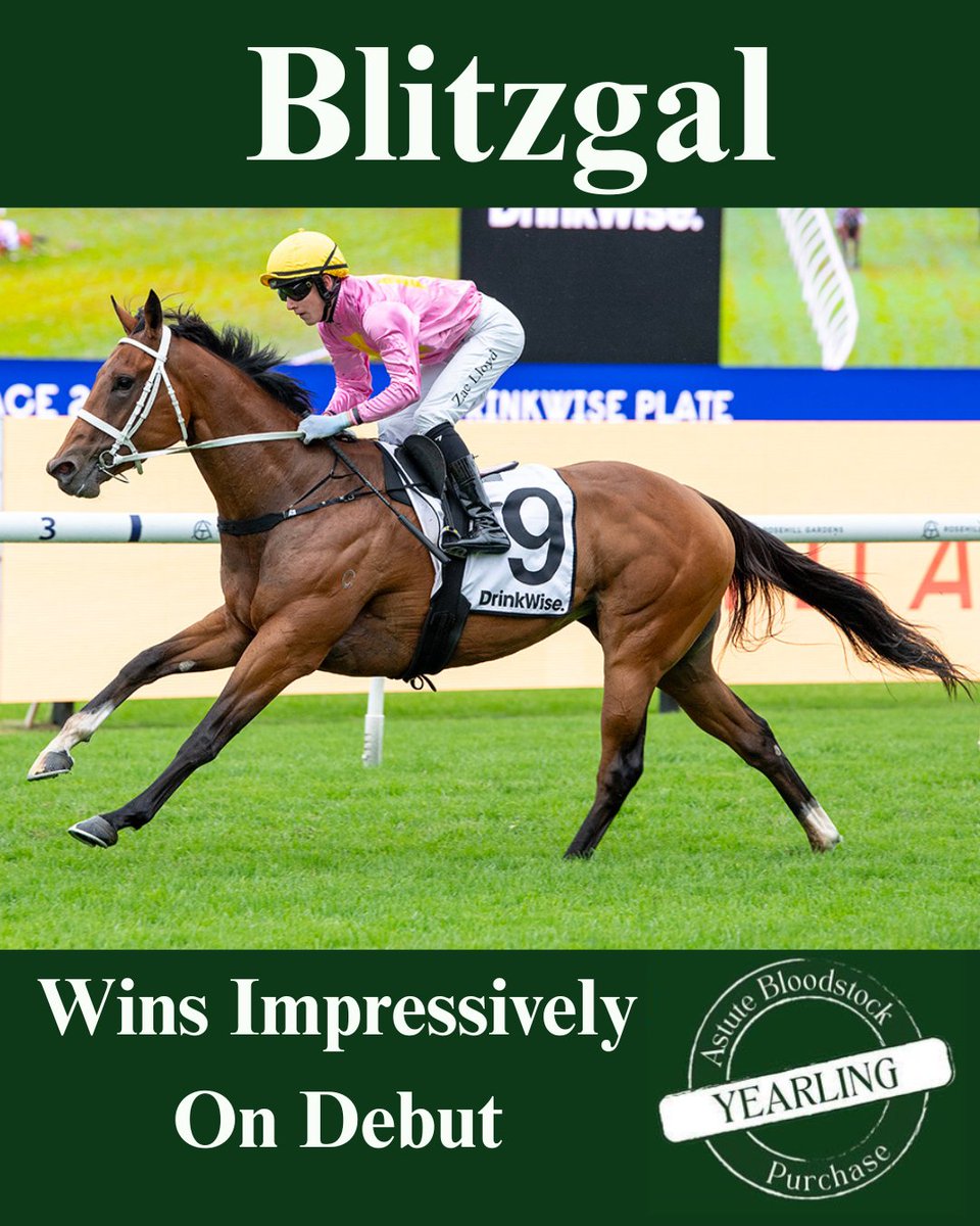 AstuteBldstock's tweet photo. Blitzgal made a serious statement on debut with a dominant win at Rosehill yesterday.
A $75,000 Astute Bloodstock purchase from @EmiratesPark  at the 2024 @inglis_sales  Premier Sale, Blitzgal was bred by two astute horsemen in @JamesBester4  and Eric Lucas. https://t.co/rl8KJewIyH